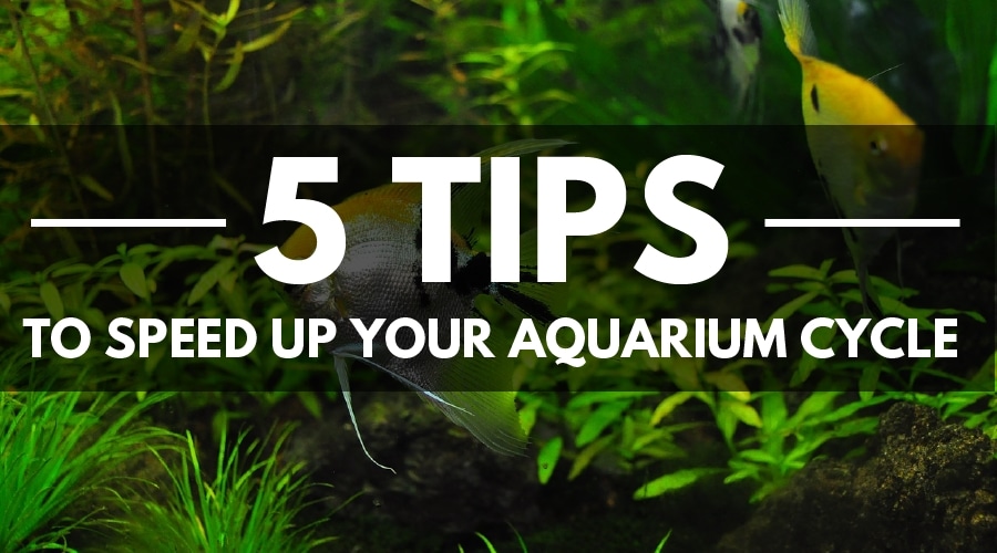 FAST AQUARIUM CYCLE COVER