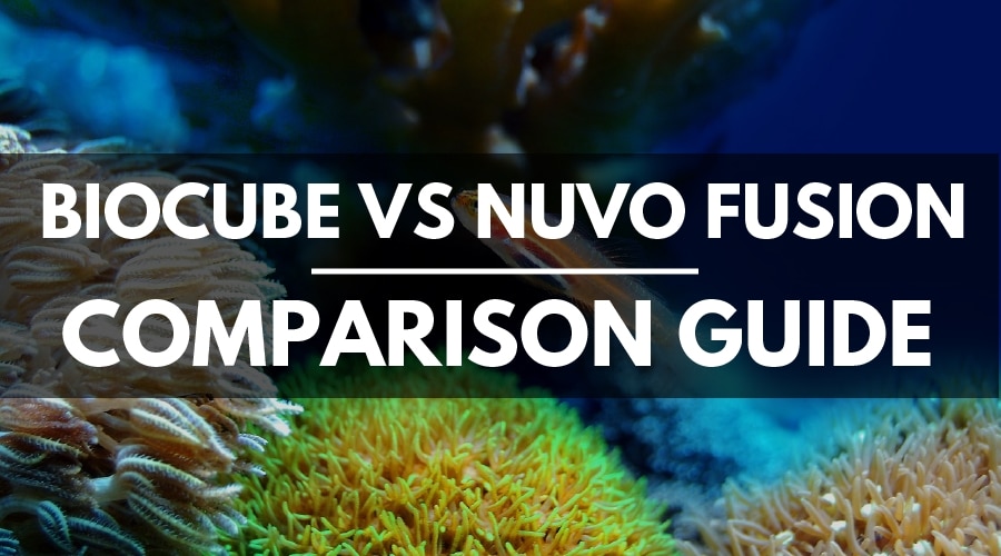 biocube vs nuvo fusion