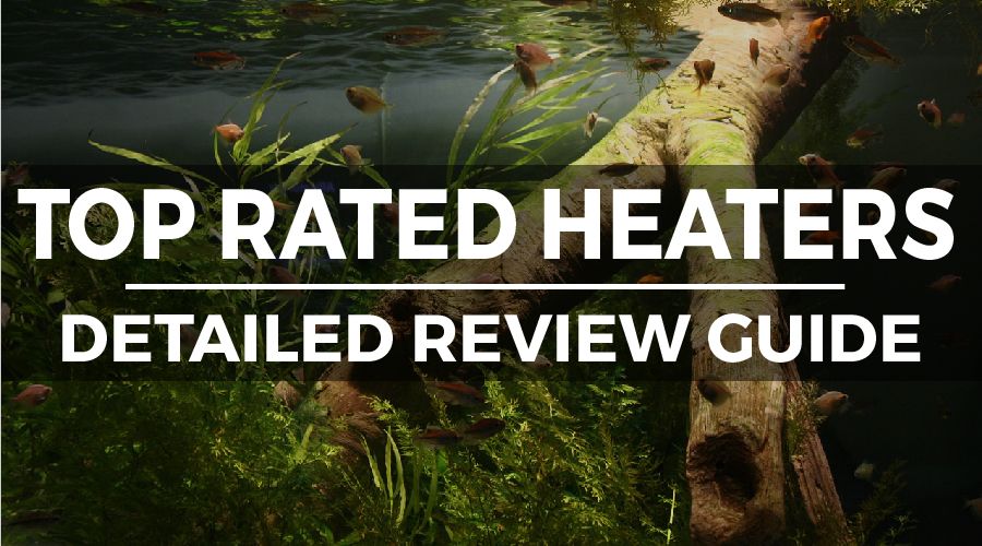 best aquarium heaters of