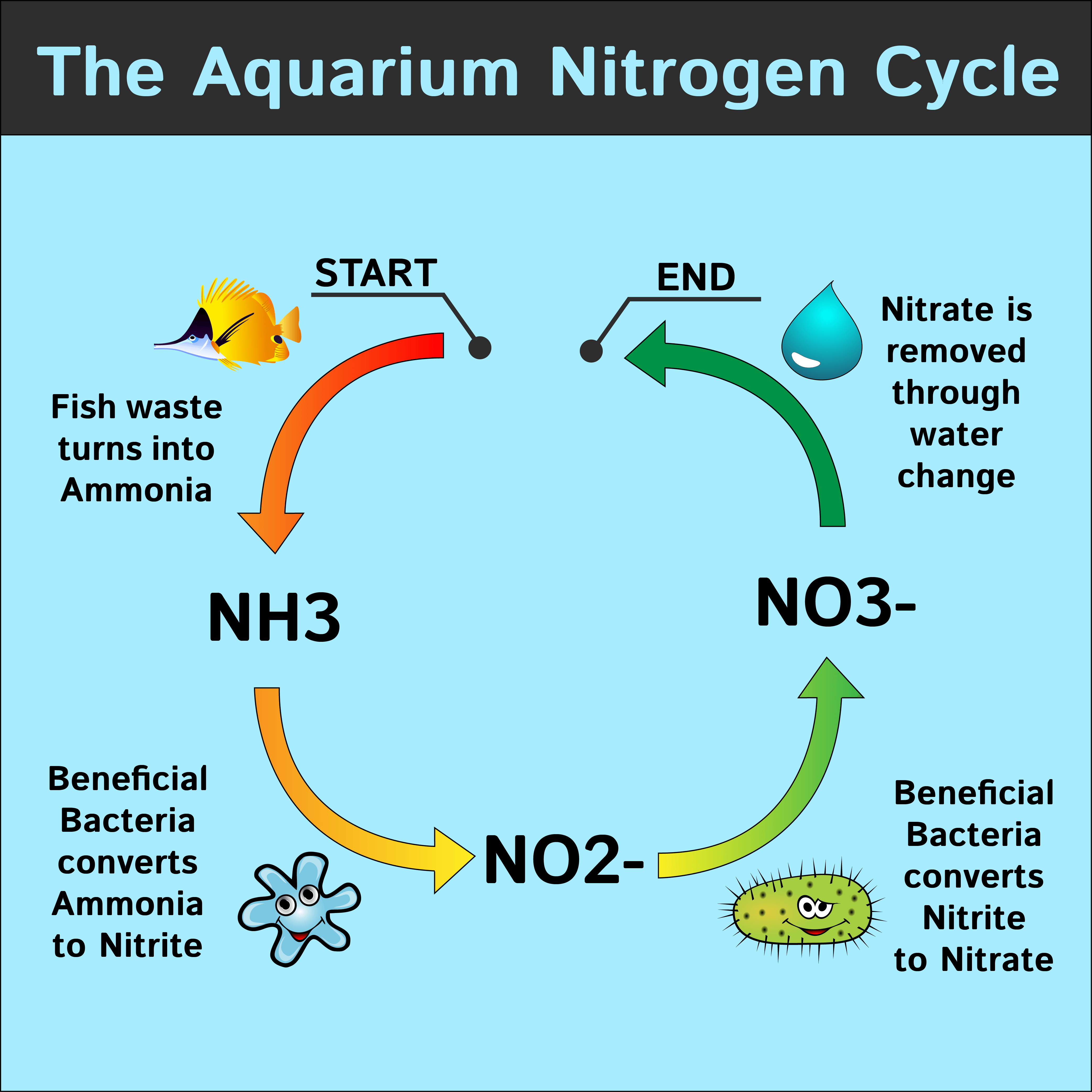 how to reduce ammonia and nitrite in aquarium