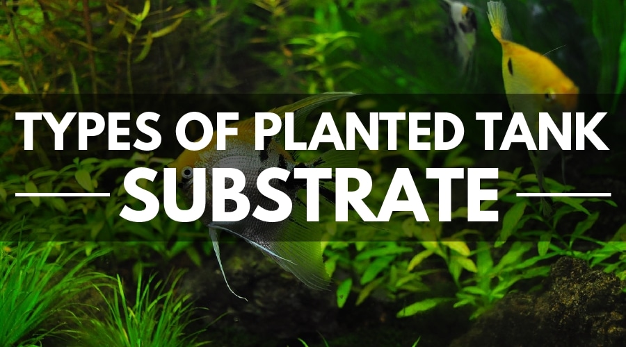 types of planted aquarium substrate