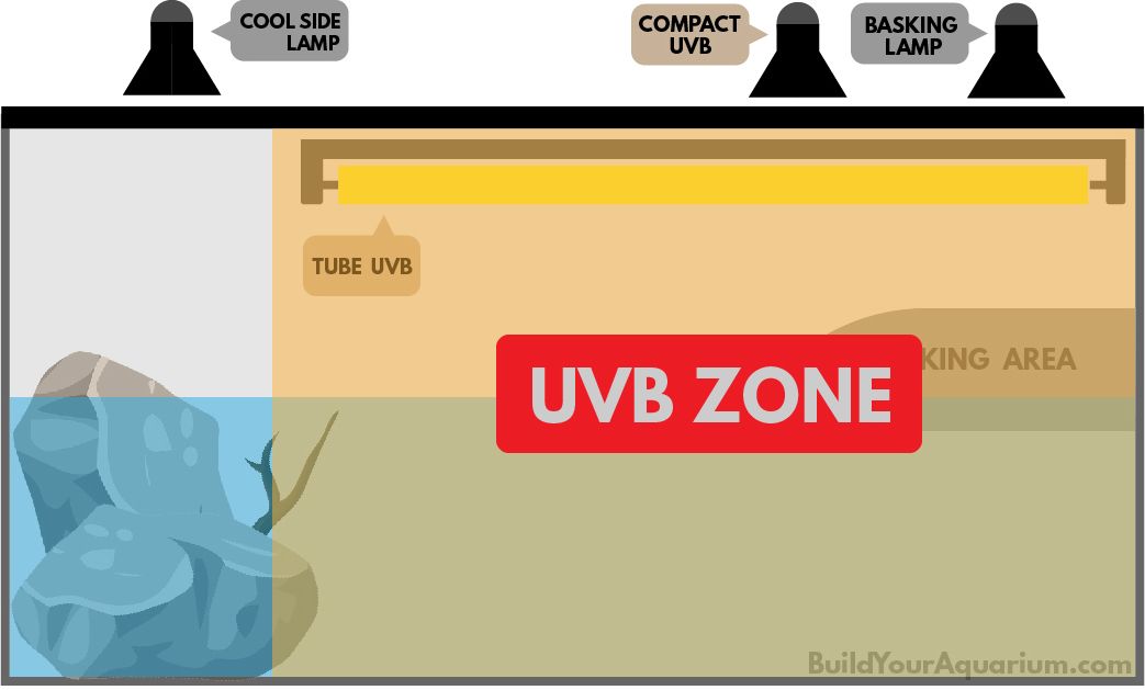 turtle uvb lighting