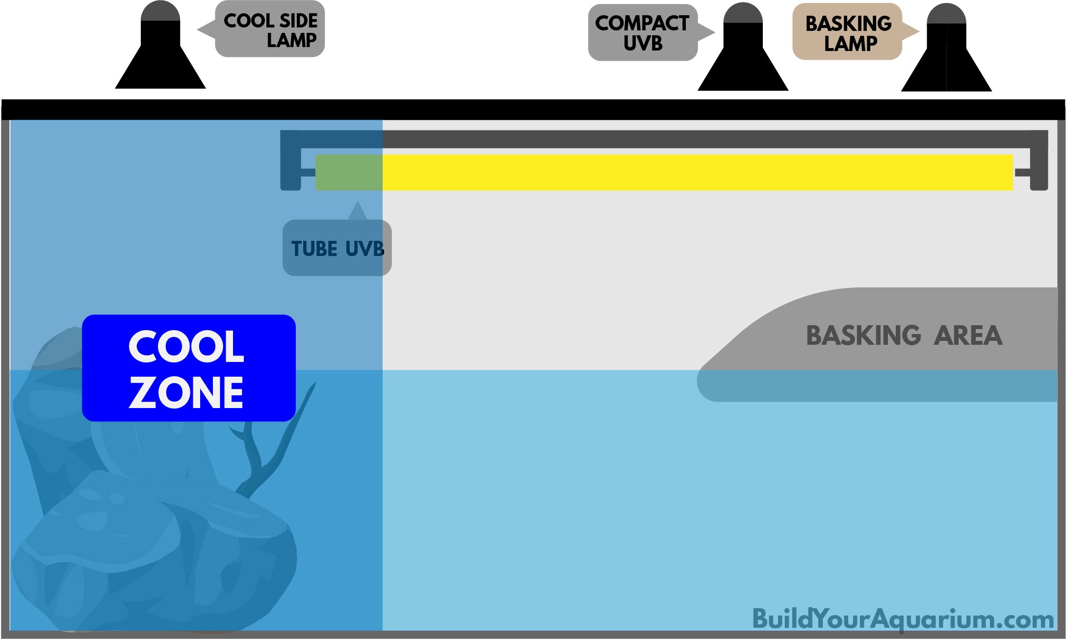 turtle cool zone