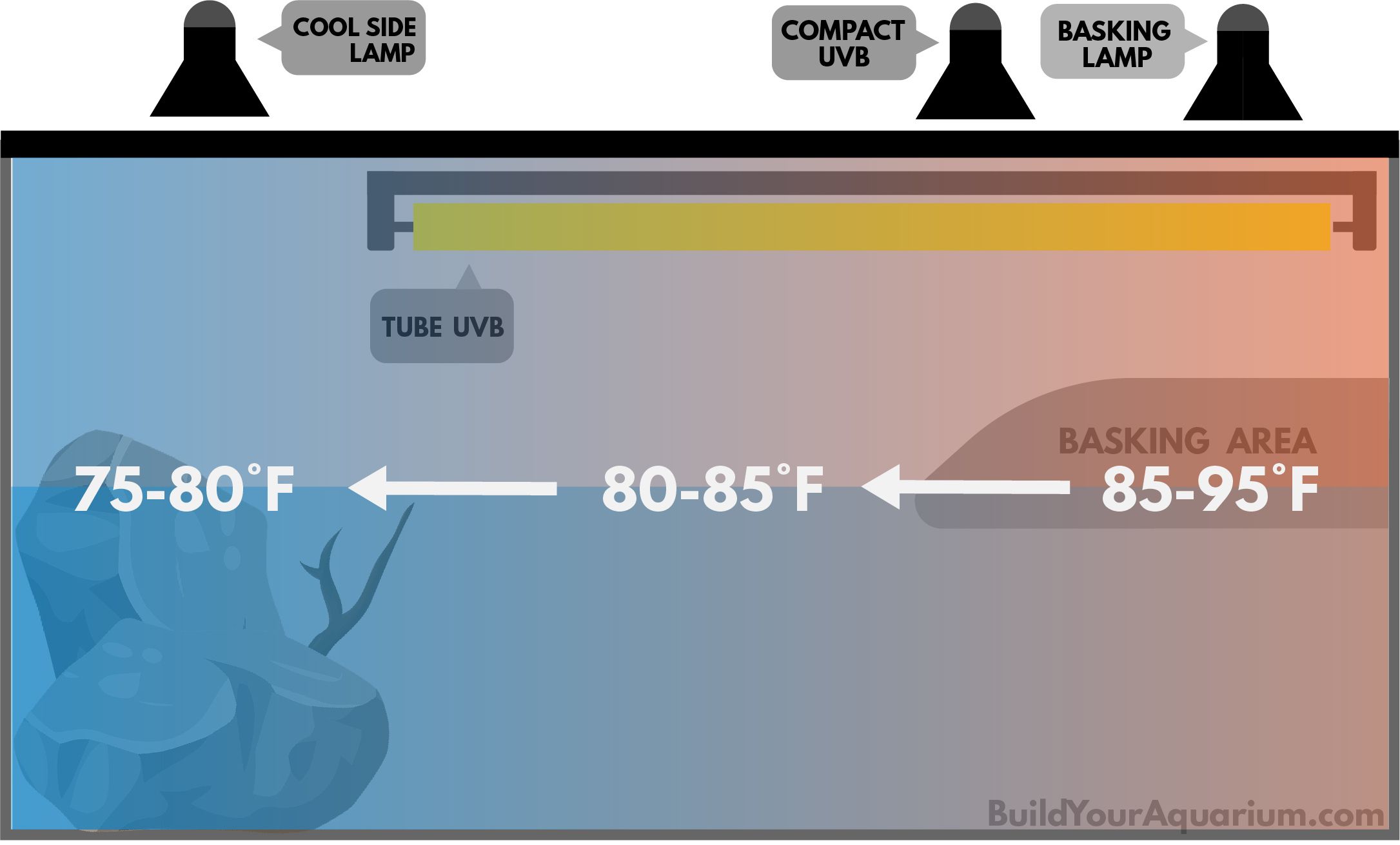 turtle temperature