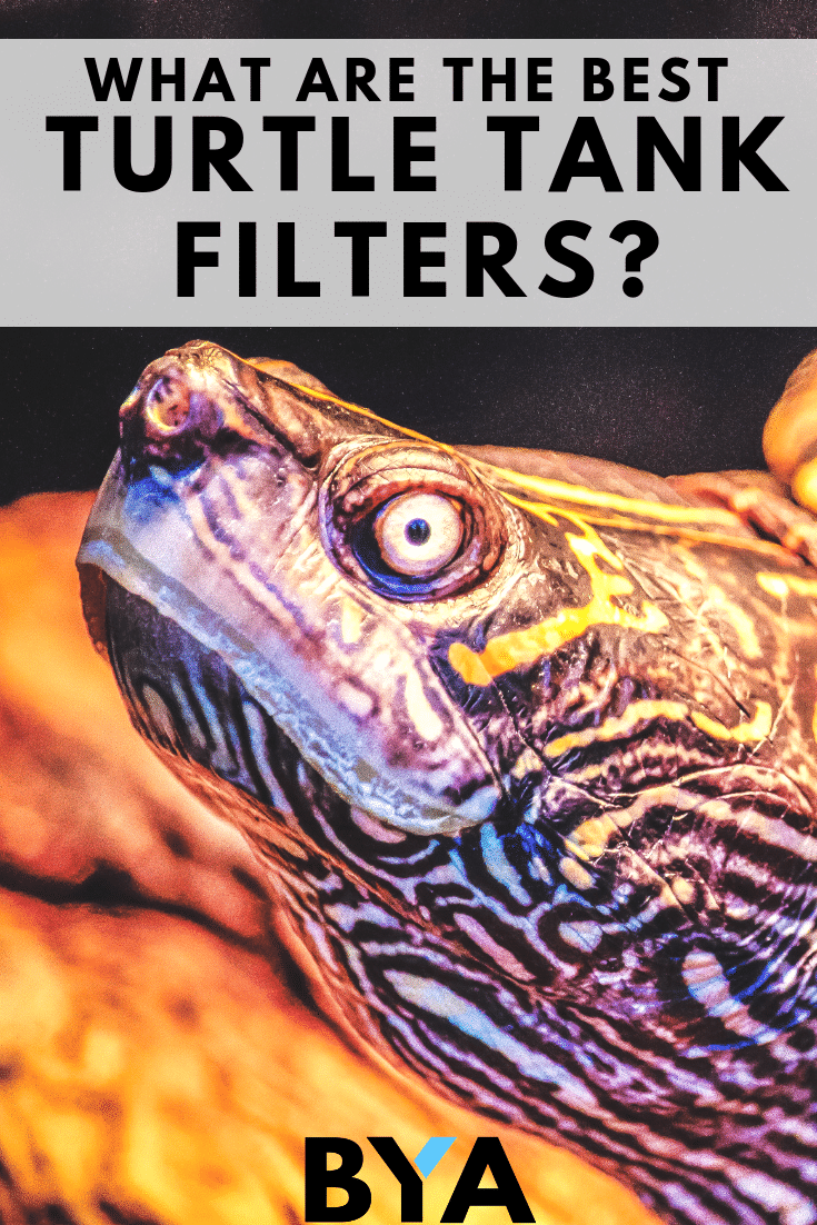 Turtle tank filters