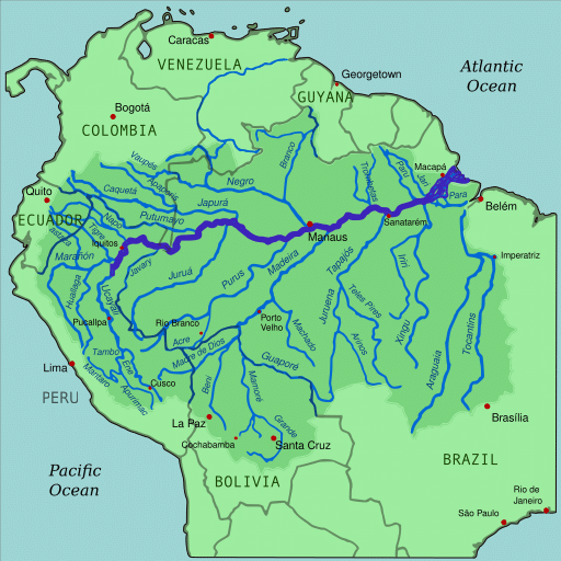 amazon basin