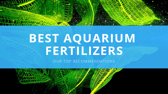 best aquarium plant fertilizer