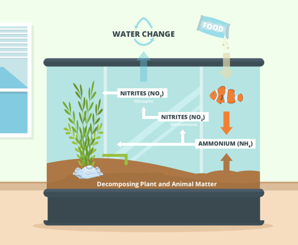 The Aquarium Handbook An Illustrated Guide to Fishkeeping