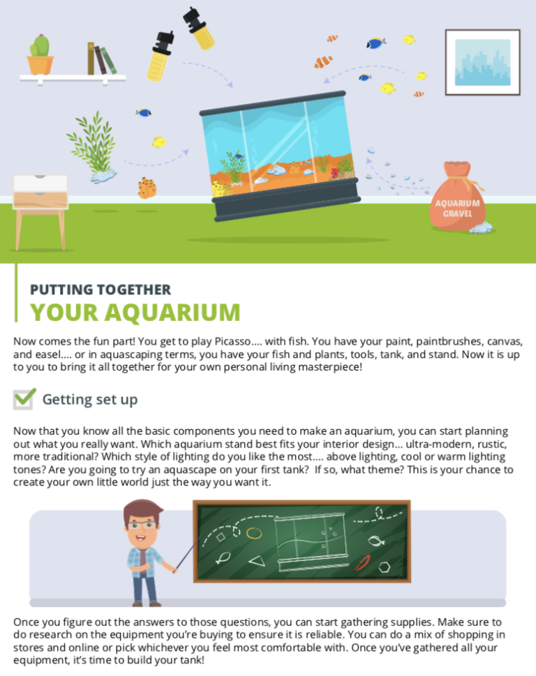 The Aquarium Handbook An Illustrated Guide to Fishkeeping