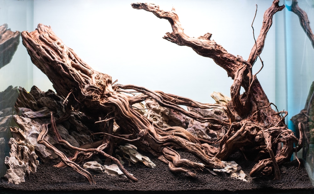liberaal focus Kreunt Aquarium Driftwood: Best Types & How to Use Them in Your Tank