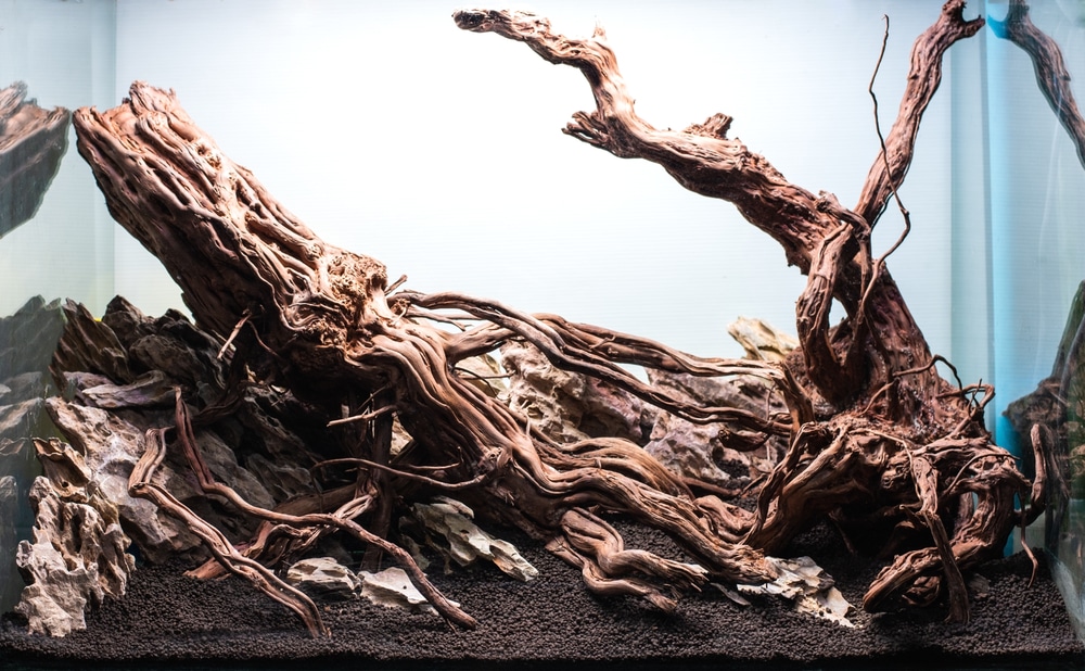 aquarium driftwood hardscape