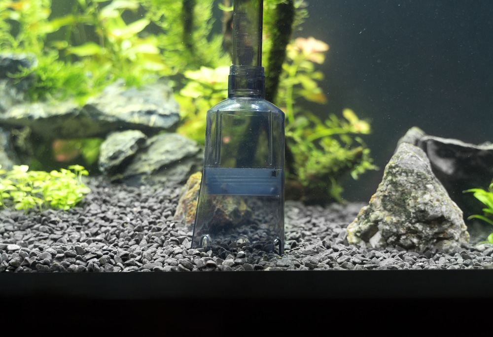 lowering nitrates in aquarium with water change