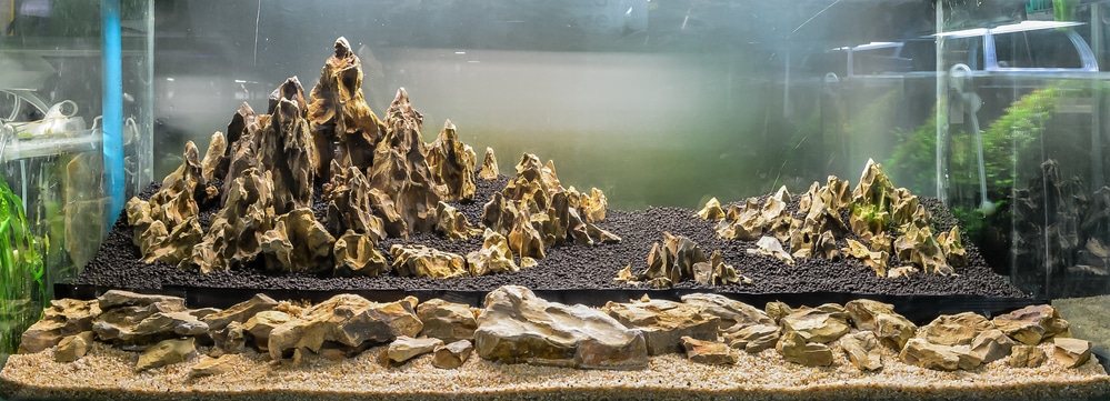 Iwagumi aquascape during the setup process