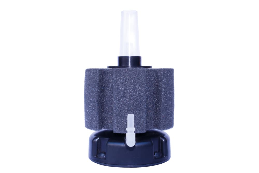 sponge filter