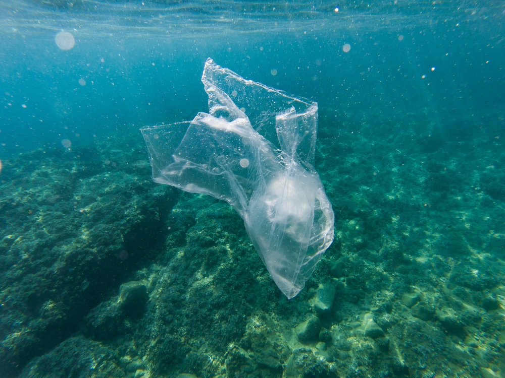 plastic bag in ocean pollution