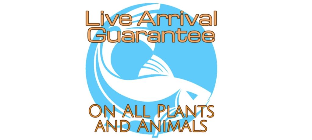 aquaticarts live guarantee