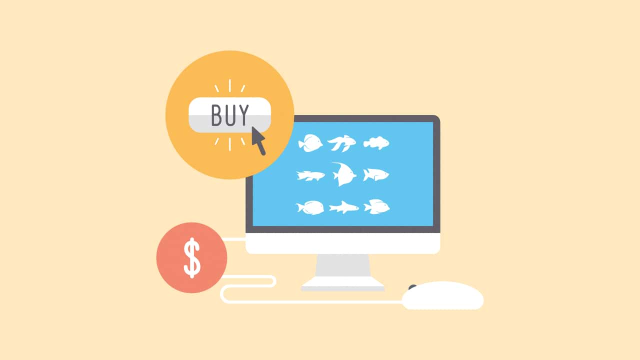 live fish buy online