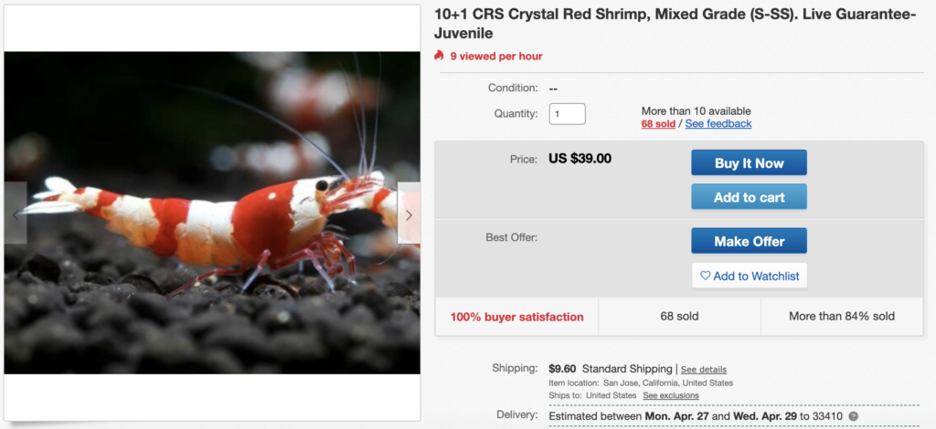 live crystal red shrimp on ebay