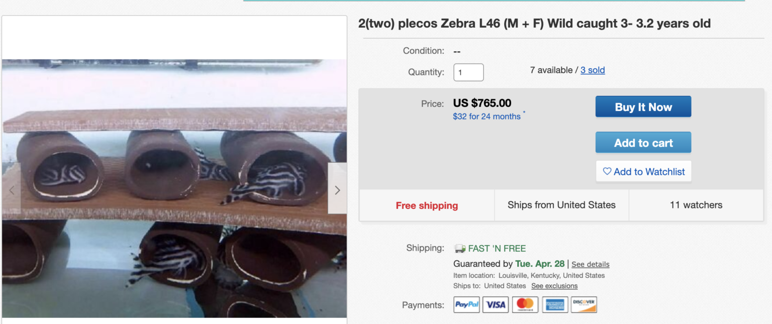 12 Best Online Fish Stores to Buy Live Fish, Plants, Shrimp & More