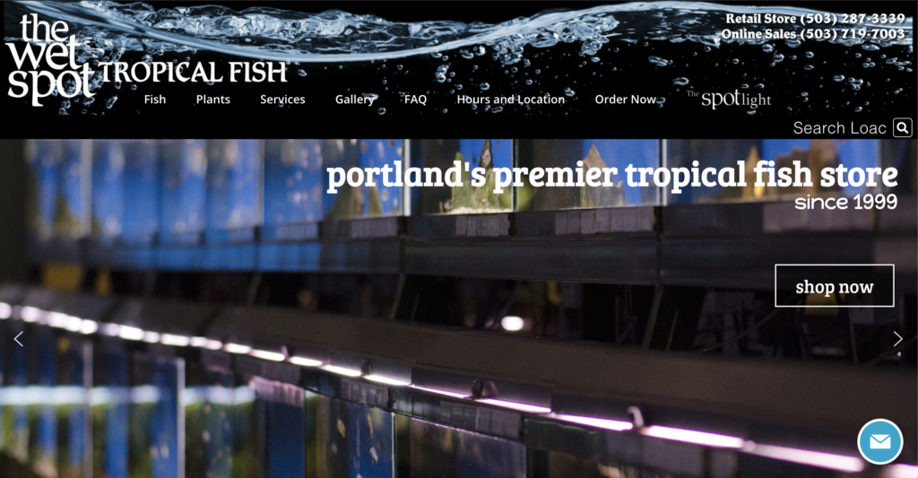 online fish stores