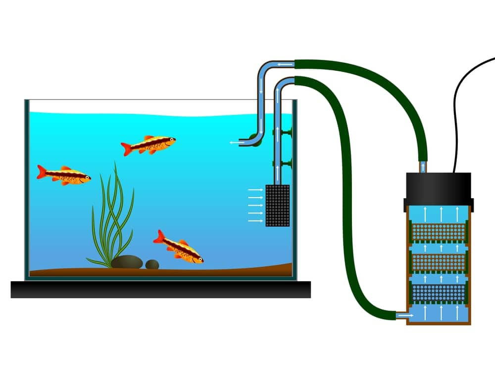 fluval fx6 canister filter review