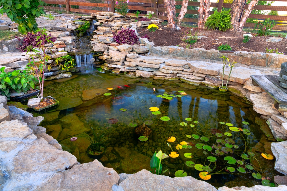 Decorative koi pond