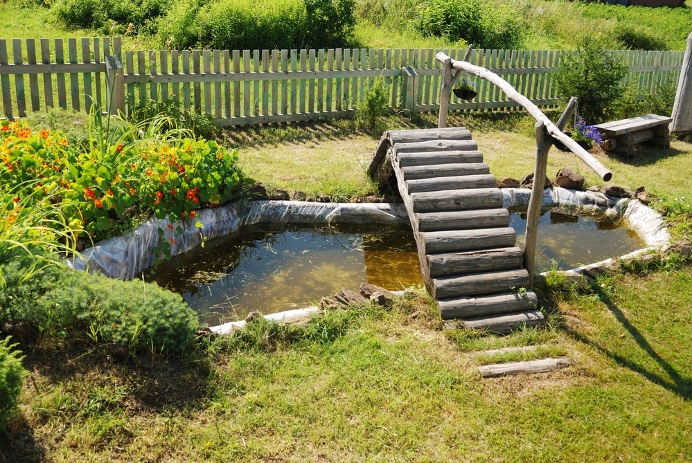 small garden koi pond