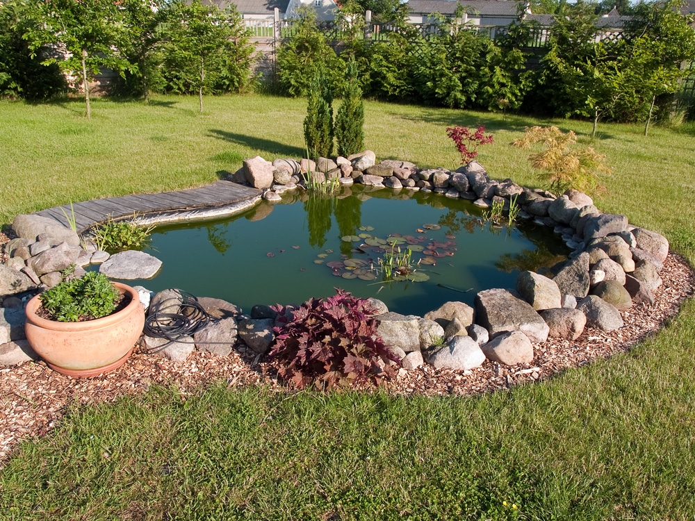 How To Set Up A Koi Pond The Ultimate, Outdoor Koi Pond