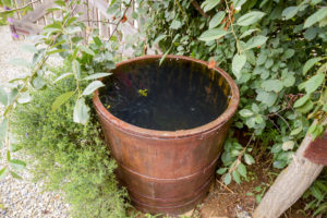 container pond