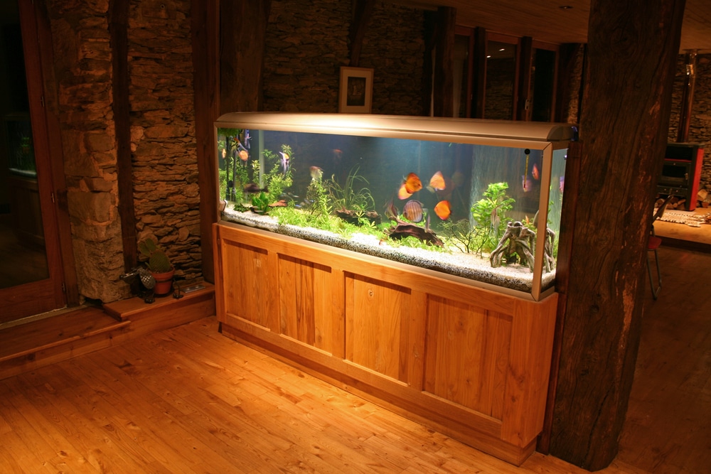 fish tank