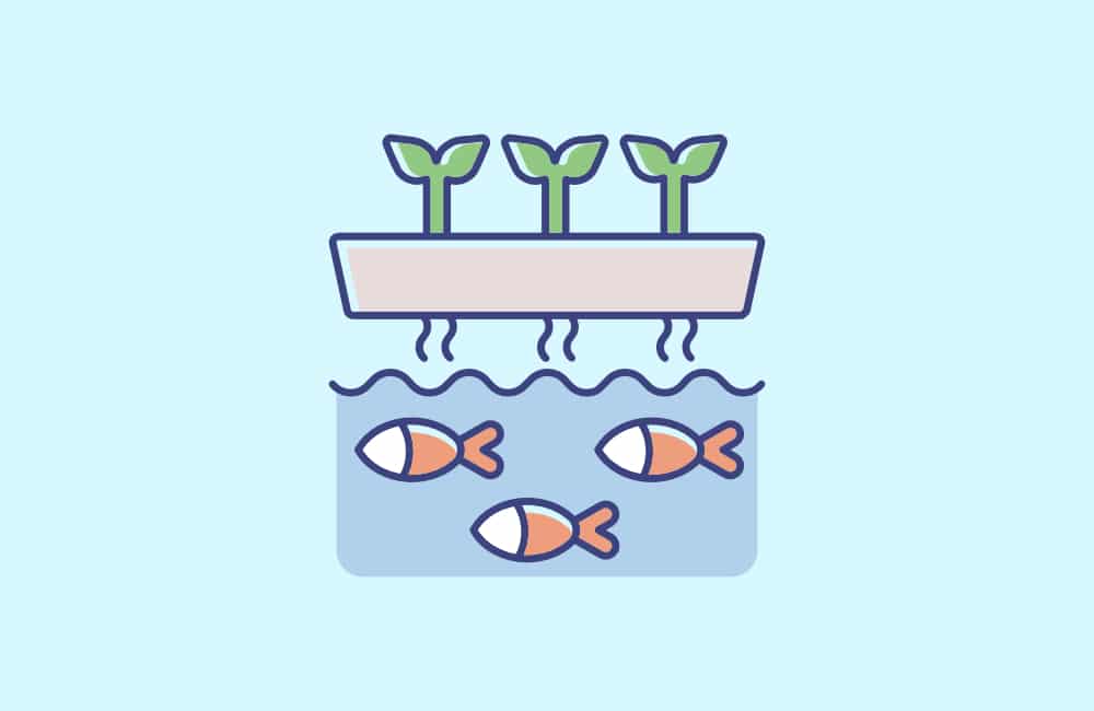 aquaponics fish tank