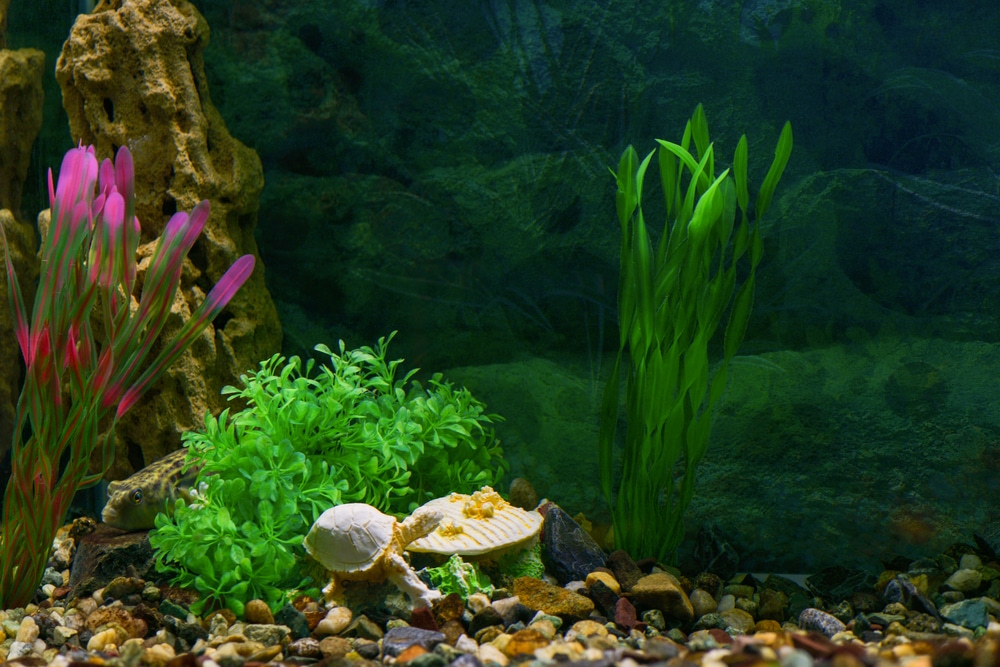 silk aquarium plants