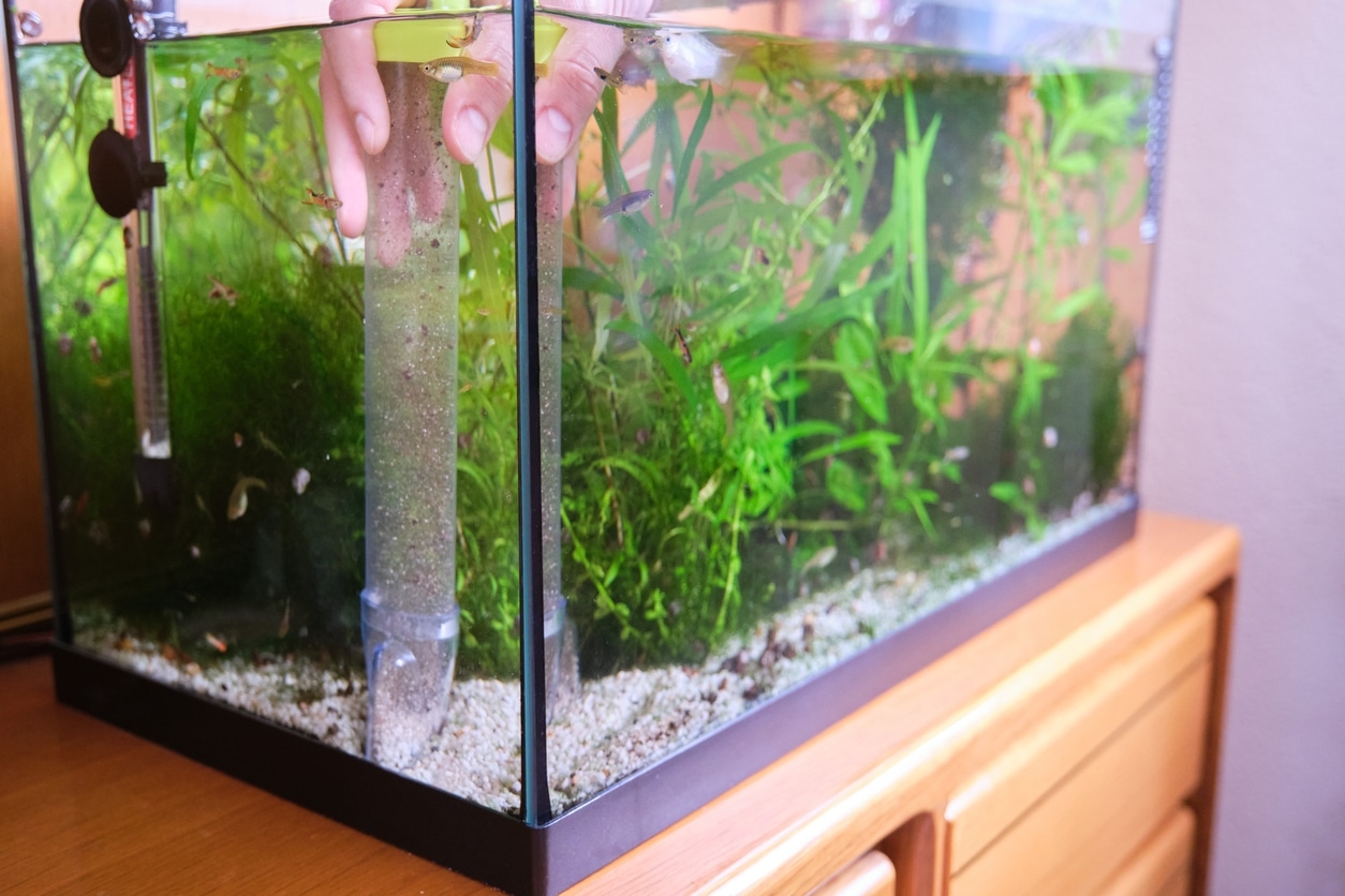 Fish tank mold