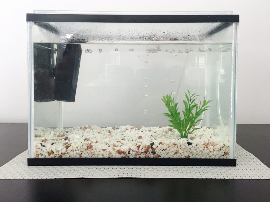What Should I Look For in an Aquarium Gravel?