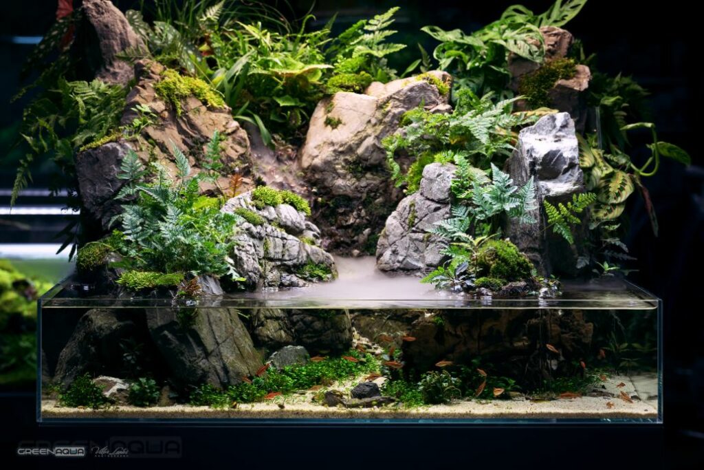 Paludarium Tank