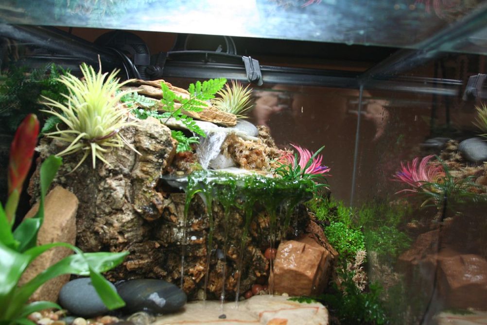 Setting Up a Paludarium Waterfall