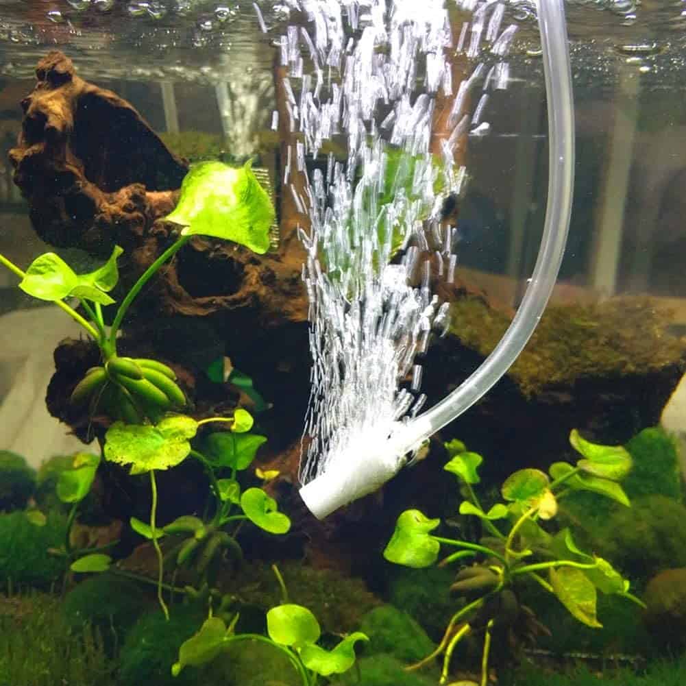 Afvoer De volgende Infecteren 7 Best Aquarium Air Stones for Your Fish Tank - Build Your Aquarium