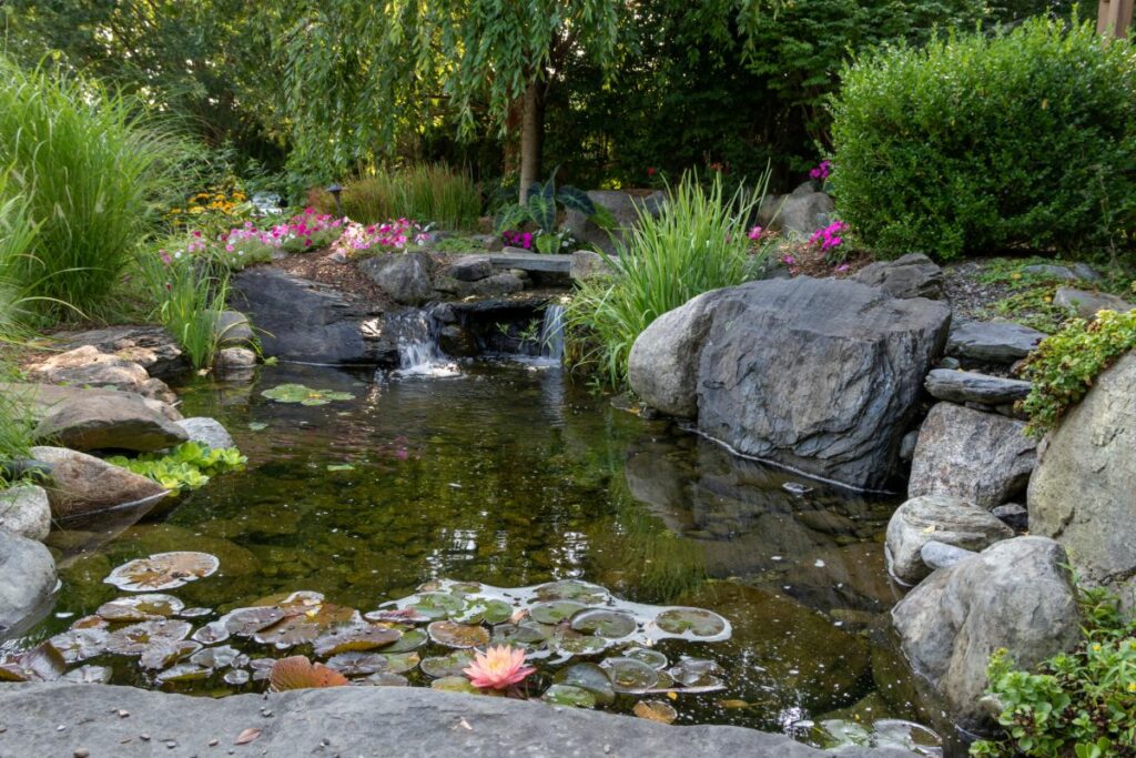 Outdoor Pond