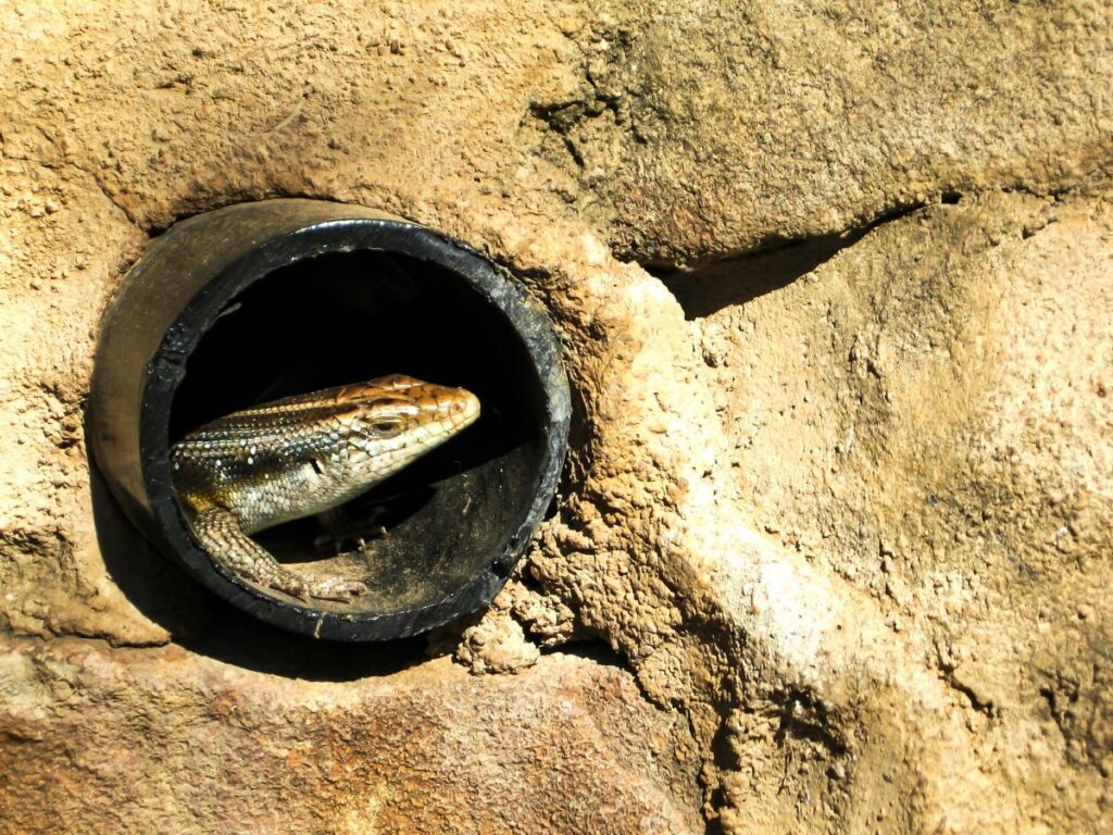 Seal Entry Holes