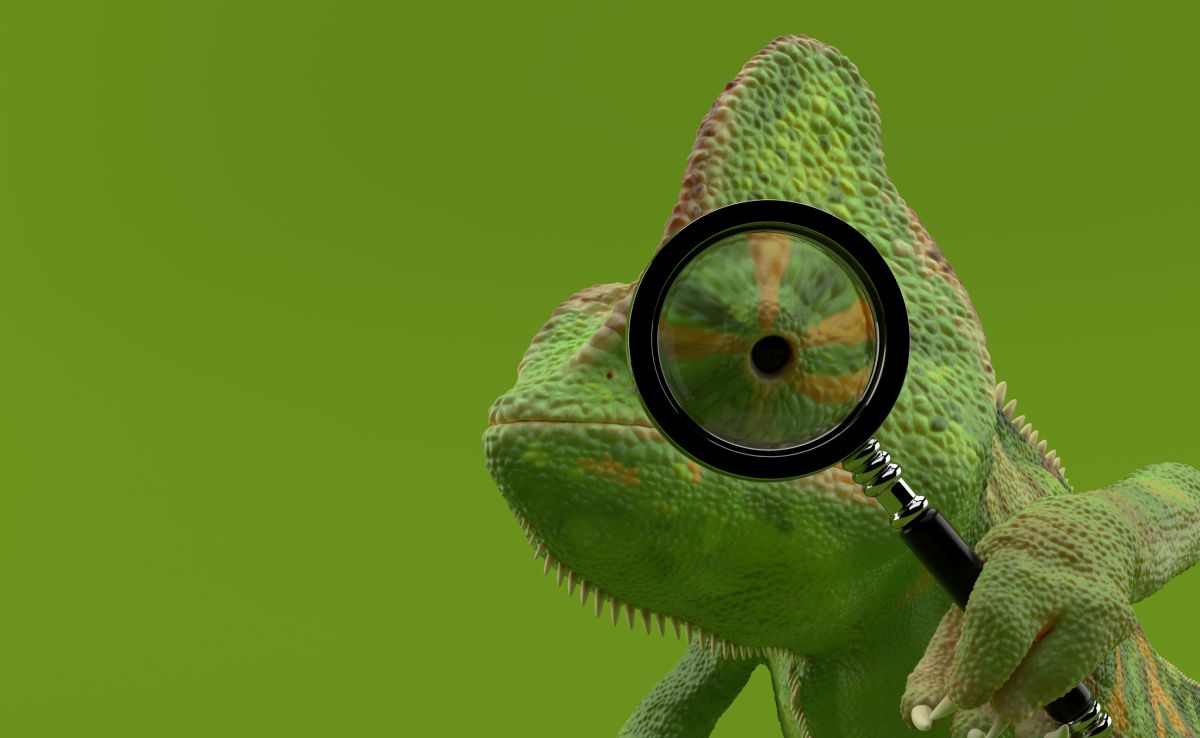 A Close Look at Lizard Eyes and How They Work