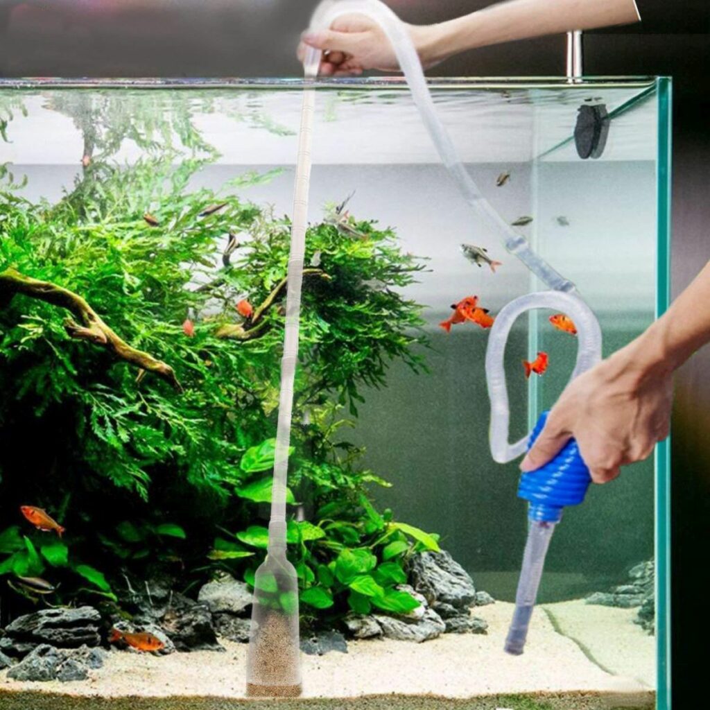 How To Change Fish Tank Water Without Killing Fish