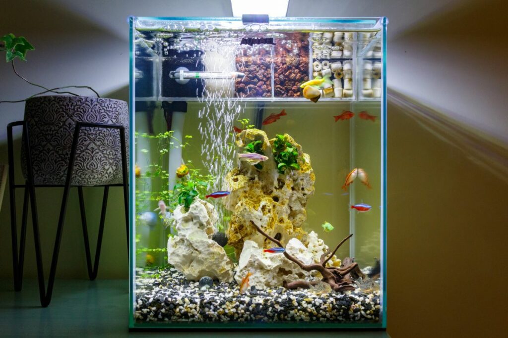 How To Pick The Right Aquarium Heater Size