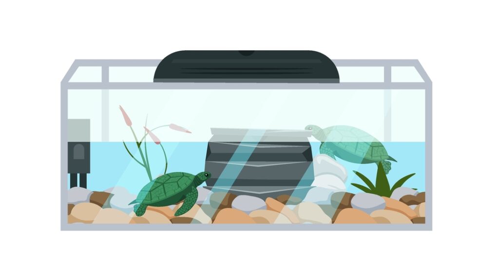 How To Create The Ideal Turtle Tank