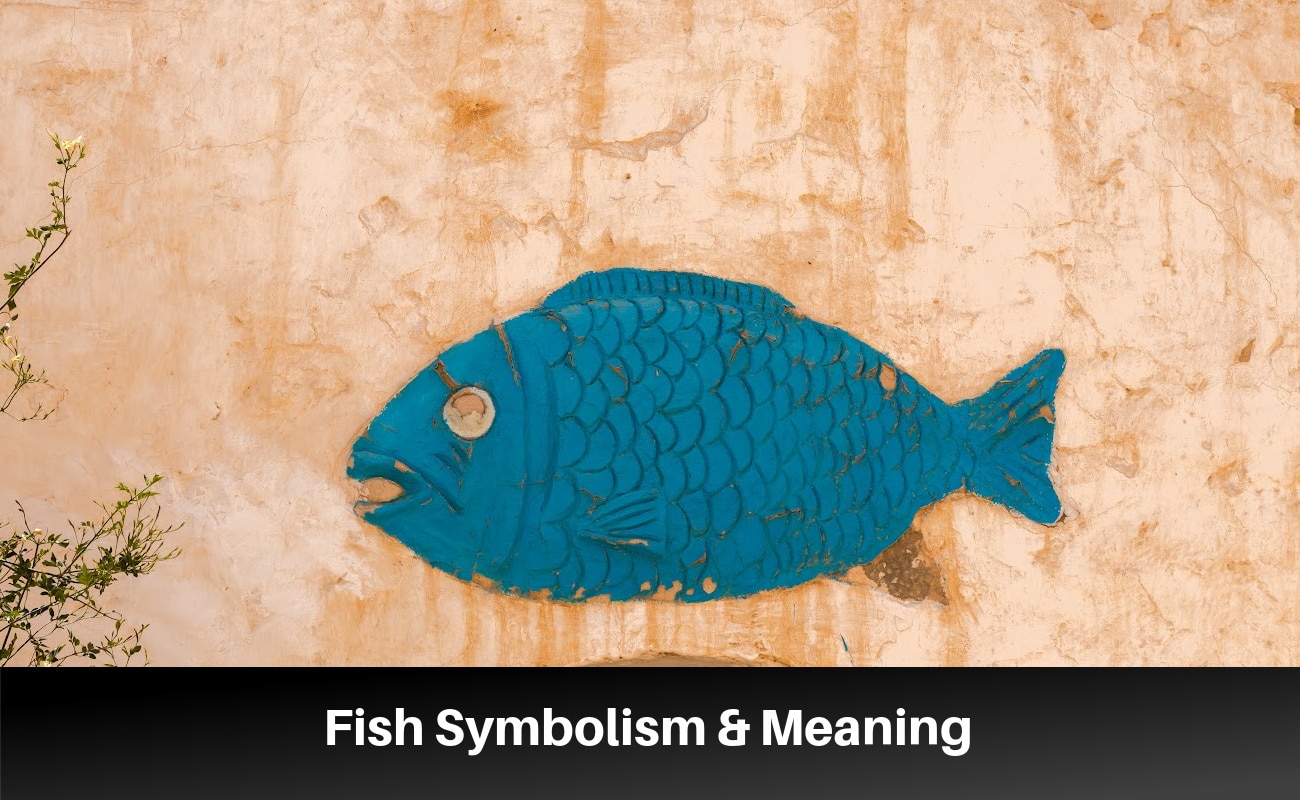 Fish Symbolism and Spiritual Meanings