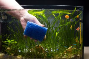 Cleaning aquarium glass